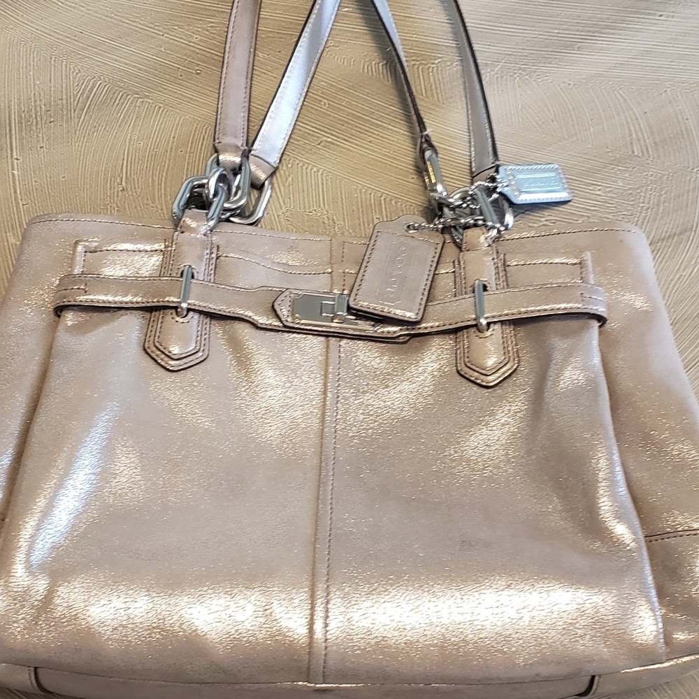 Coach Pewter Sparkle Hobo